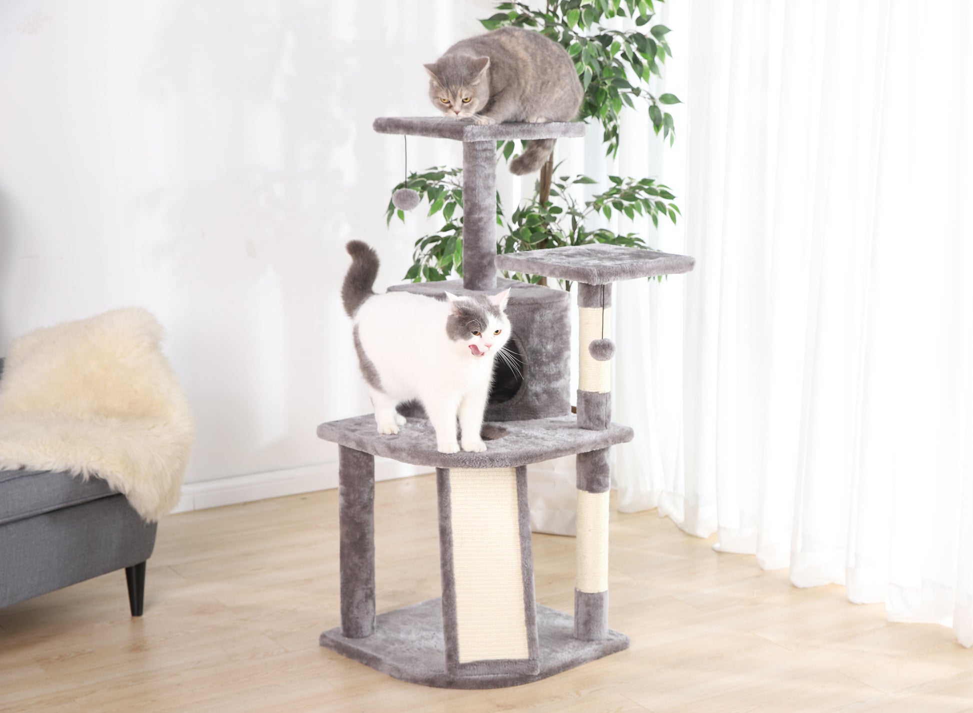 5- Level Multi-Functional Cat Tree & Condo, Gray, 45"